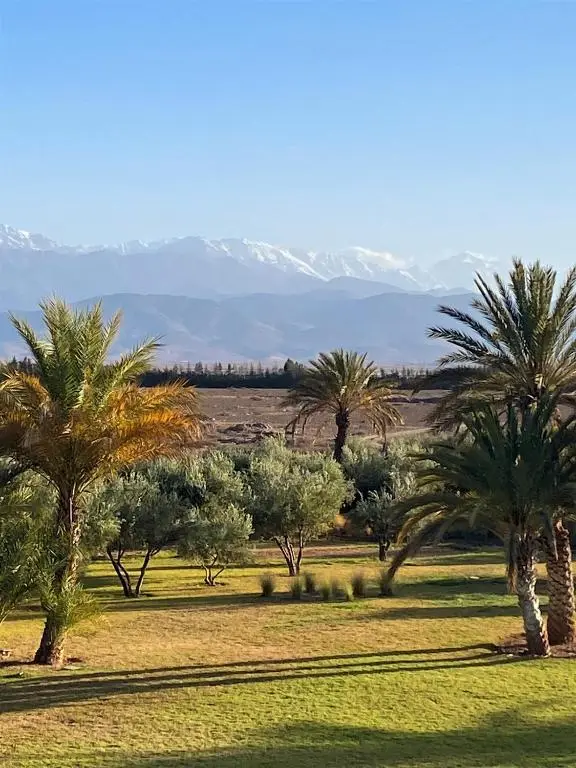 Les Étoiles Guest House (Dar Noujoum)