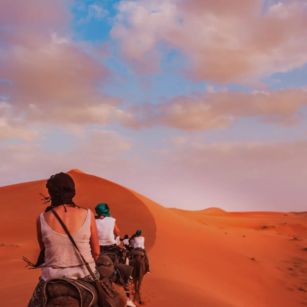 Experiences & discoveries