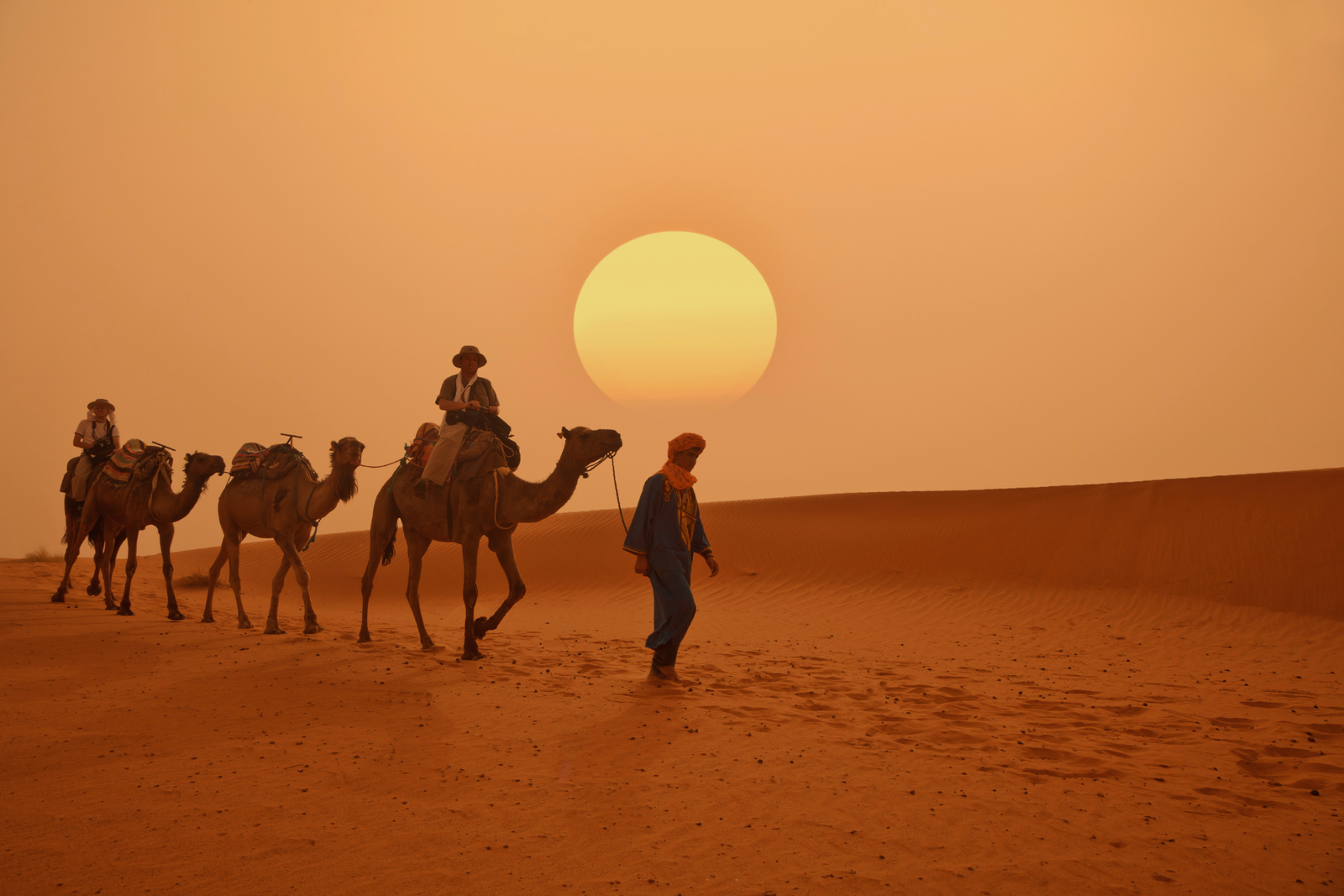 Desert excursion in the Sahara of Morocco