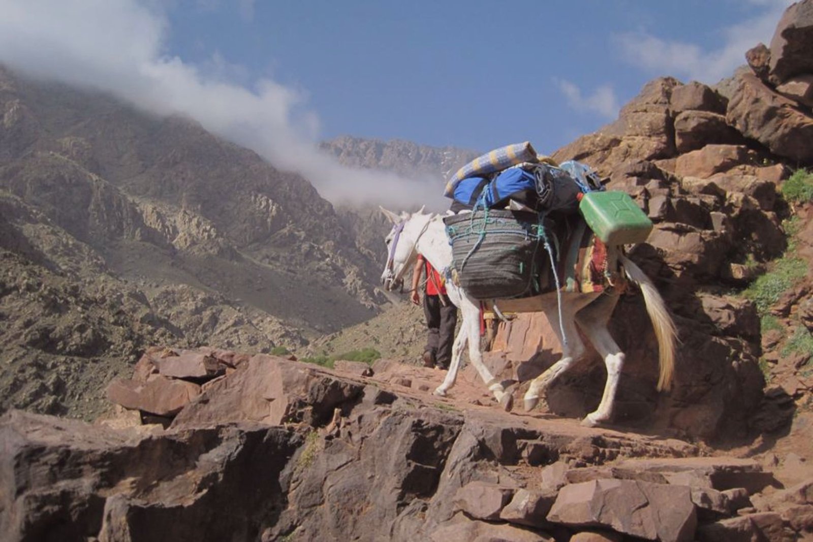 Pack mule carrying gear on a mountain trail trek in the High Atlas Mountains near Ourika Valley