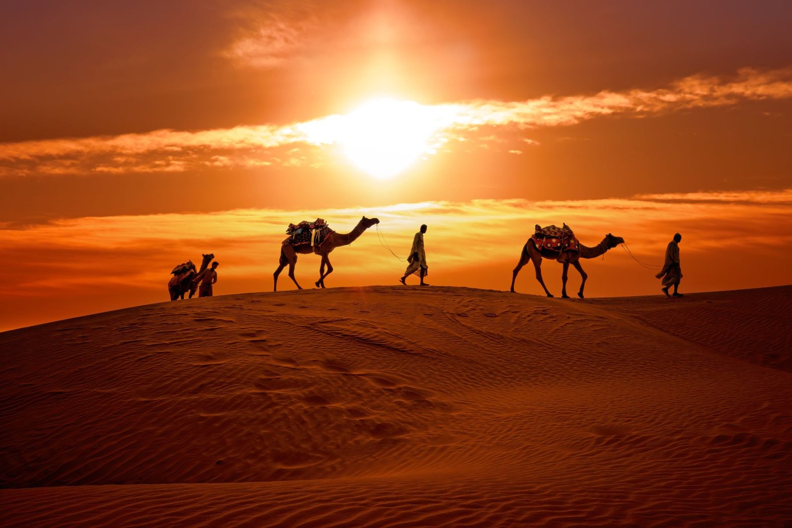 Silhouette d’une caravane de chameaux au coucher du soleil dans le désert d’Agafay